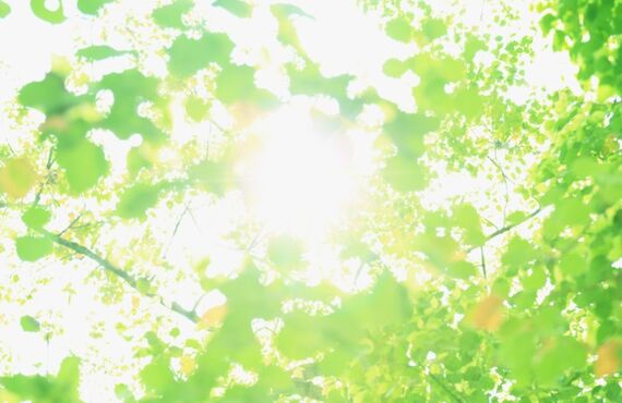 美濃加茂市でメンズカットは美容室一夢庵